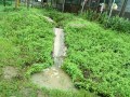 IMG_20250524_093859
