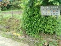 IMG_20250524_094017