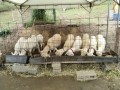 IMG_20250525_083315