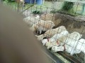 IMG_20250525_083342