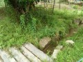 IMG_20250525_083445