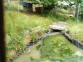 IMG_20250525_083507