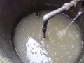 IMG_20250525_084539