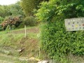 IMG_20250525_084549
