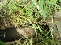 IMG_20250525_084611