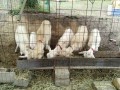 IMG_20250525_090034