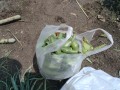 IMG_20250525_113237