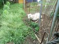 IMG_20250525_171749