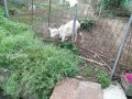 IMG_20250525_172327