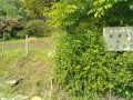 IMG_20250527_085742