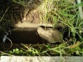 IMG_20250527_085756