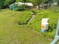 IMG_20250527_085831