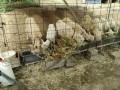 IMG_20250527_091402
