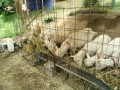 IMG_20250527_091413