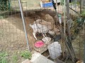 IMG_20250527_091429