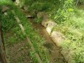 IMG_20250527_091437