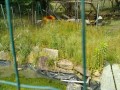 IMG_20250527_091505