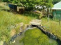 IMG_20250527_091524
