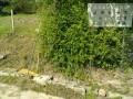 IMG_20250528_085659