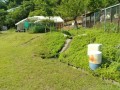 IMG_20250528_085737