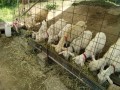 IMG_20250528_090438