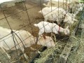 IMG_20250528_090447
