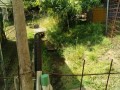 IMG_20250528_090451