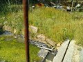 IMG_20250528_090510