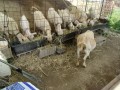 IMG_20250528_090623