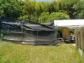 IMG_20250528_103731