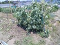 IMG_20250528_120217
