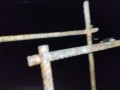 IMG_20250528_205035
