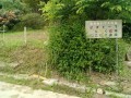 IMG_20250529_090237
