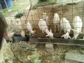 IMG_20250529_090751