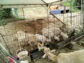 IMG_20250529_090802