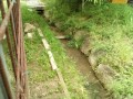 IMG_20250529_090808