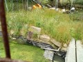 IMG_20250529_090824
