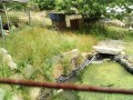 IMG_20250529_090836