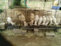 IMG_20250529_102918
