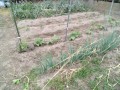 IMG_20250529_115721