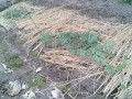 IMG_20250529_115728