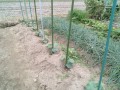 IMG_20250529_115750