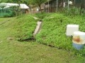 IMG_20250530_085449