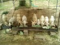 IMG_20250530_085832