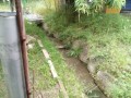 IMG_20250530_085904