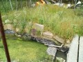 IMG_20250530_085933
