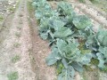 IMG_20250530_115214