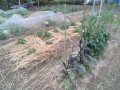 IMG_20250530_115222