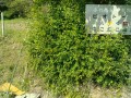 IMG_20250531_084325