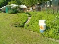 IMG_20250531_084405